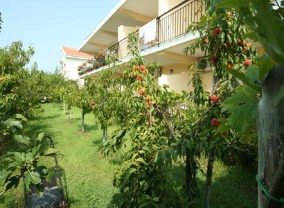 Bed And Breakfast Cirelli Скалеа Екстер'єр фото